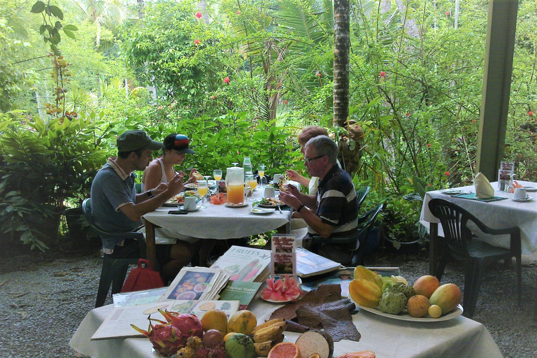 Cabo Tribulação: Daintree, Mossman Gorge e Port Douglas...