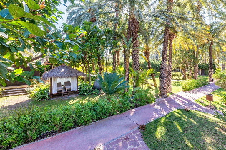 Alicante et Elche : excursion d&#039;une journée avec visite du château de Santa Bárbara