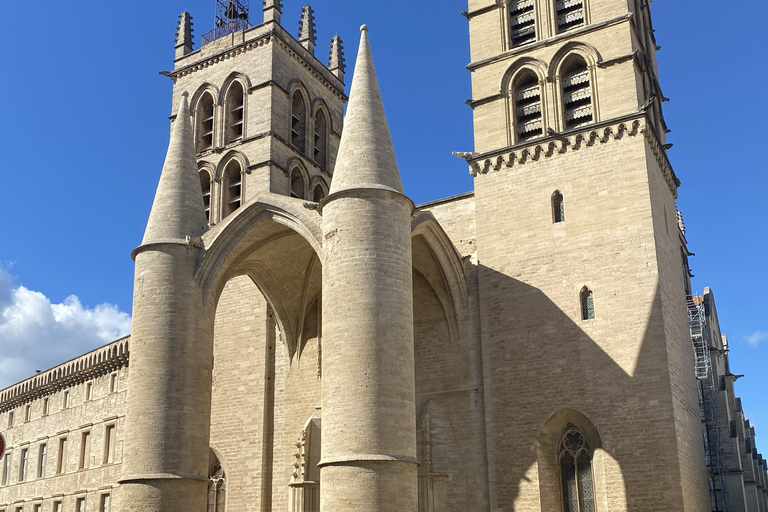 Montpellier: Private Walking Tour with Licensed Guide