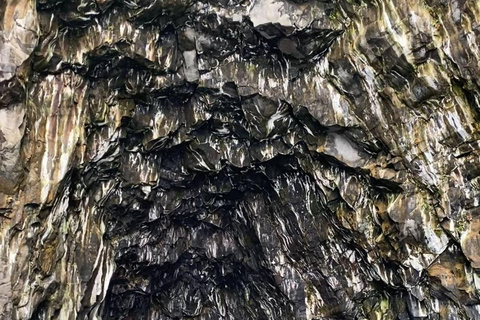 圣米格尔岛：火山奇观、洞穴与历史游船之旅