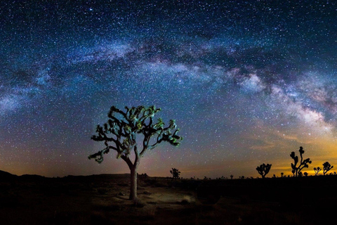 Visite du parc national de Joshua Tree au départ de Los Angeles