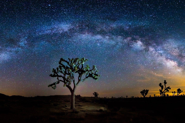 Wycieczka do parku narodowego Joshua Tree z Los Angeles