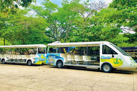 DE BOGOTÁ: Visita ao Parque Aquático Piscilago, incluindo ingresso e almoço.