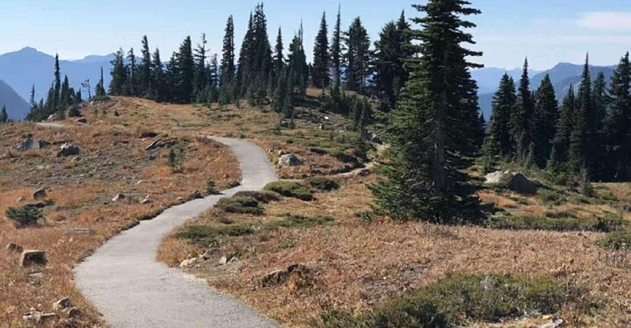 Mount Rainier National Park 1-Day Tour from Seattle - Housity