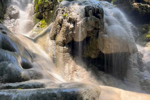 Chiang Mai: Bua Thong Sticky Waterfalls with Hotel Transfer Sticky Waterfalls with Hotel Transfer