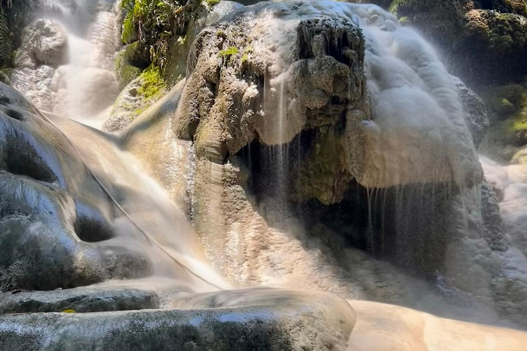 Chiang Mai: Bua Thong Sticky Waterfalls with Hotel Transfer Sticky Waterfalls with Hotel Transfer