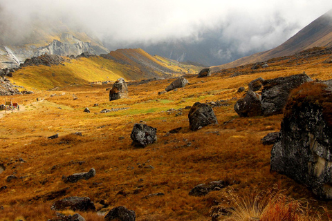 Trek du camp de base de l&#039;Annapurna