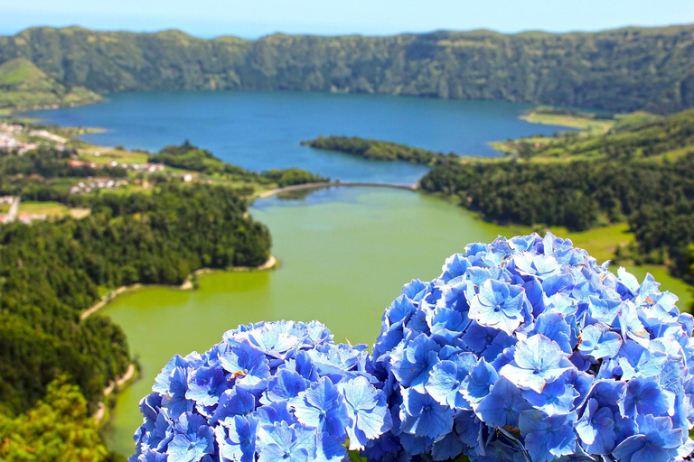 Guided Tour to the green & bleu Lake of Sete Cidades excursões em terra á Lagoa Verde e azul das sete cidades