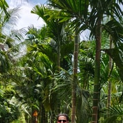 From Ho Chi Minh: 3-Day Mekong Cycling Tour to Phu Quoc From Ho Chi Minh: 3-Day Mekong Cycling Tour to Phu Quoc