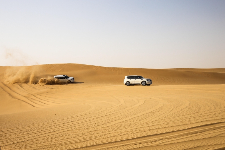 Demi-journée de safari dans le désert, dune bashing, faucons et mer intérieureSafari dans le désert : Demi-journée, Dune bashing, Faucons et mer intérieure