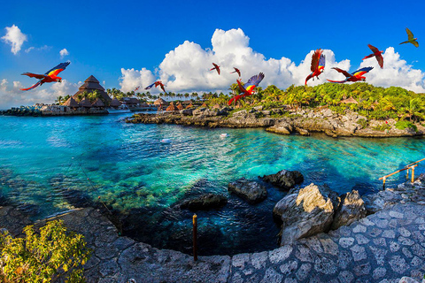 From Riviera Maya: Complete Combo to Xcaret Park!