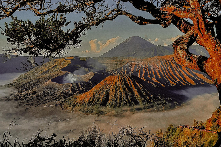 Circuit partagé Mont Bromo et Ijen au départ de Malang - 2D1N