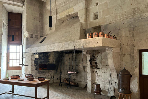 Loire Valley: Leonardo da Vinci & Renaissance Castles Tour Premium Minivan (2–6 PX)