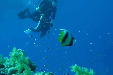 Fiji: Private Sailing Yacht Charter with Activities