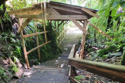Roseau: Rainforest tour of Trafalgar Waterfalls & Geysers.