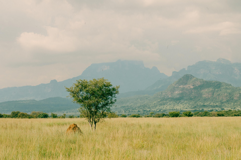 From Kampala: 3-Day Pian Upe Conservation Reserve Safari