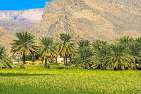 Goditi il tuo weekend: Tour di un giorno intero a Nizwa, Bahla e Hamra