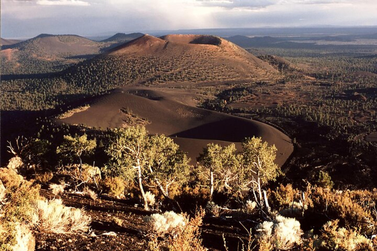 From Scottsdale: Flagstaff Full-Day Tour with Observatory