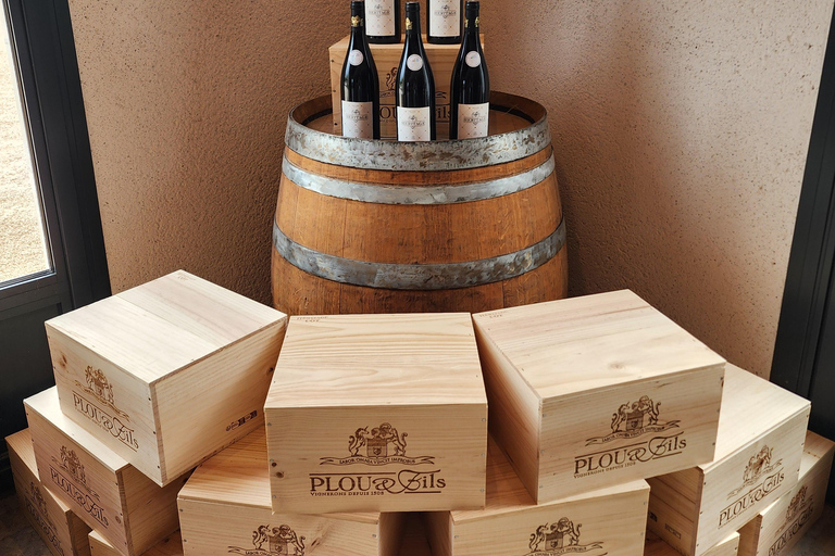Loire Valley Wine Tour from Paris: 2 Wineries & 10 Tastings Premium Option