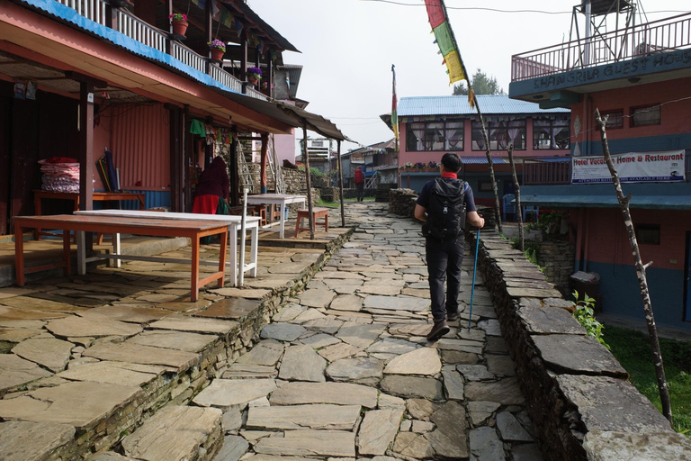 Pokhara: Schneller Mardi Himal Trek