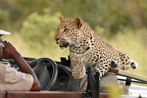 Nairobi: Ol Pejeta Conservancy Day Trip with Game Drives