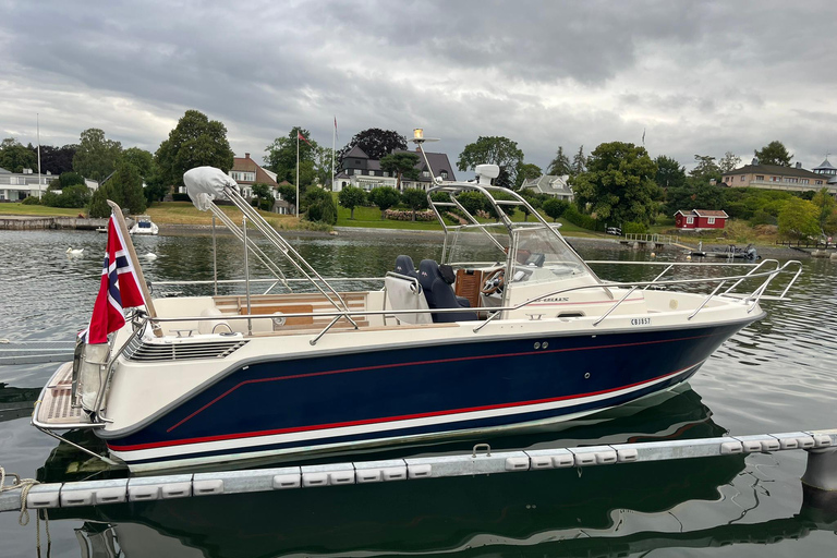 Oslo Fjord Exploration: Private Day Trip with Island Landing