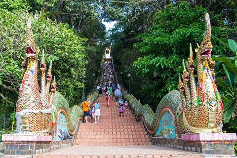 Chiang Mai: Excursão de meio dia a Doi Suthep e à vila HmongChiang Mai: excursão de meio dia à vila de Doi Suthep e Hmong