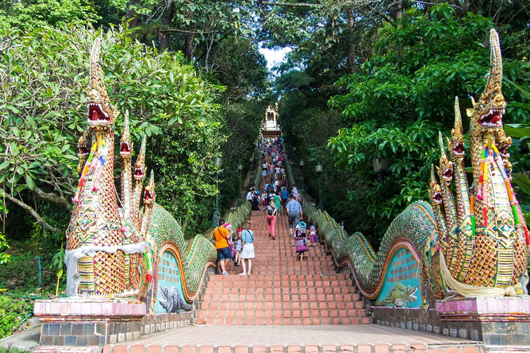 Chiang Mai: Excursão de meio dia a Doi Suthep e à vila HmongChiang Mai: excursão de meio dia à vila de Doi Suthep e Hmong