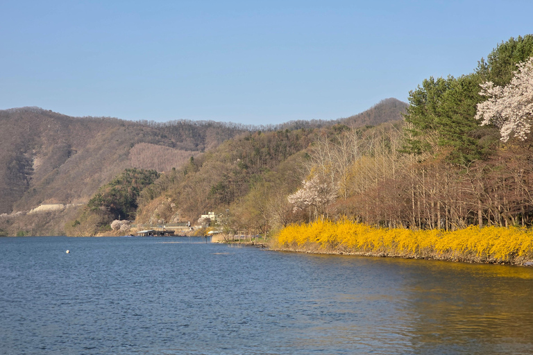 Seoul: Hallyu Nami Island Day Trip with romantic Train