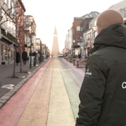 Reykjavik: City Walking tour in Small Group with Local Guide