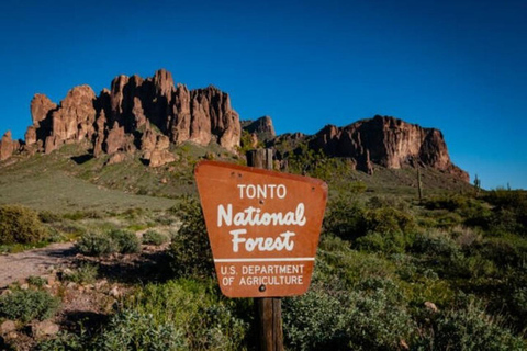 From Phoenix: Private Offroad Sonoran Desert and Sunset Tour