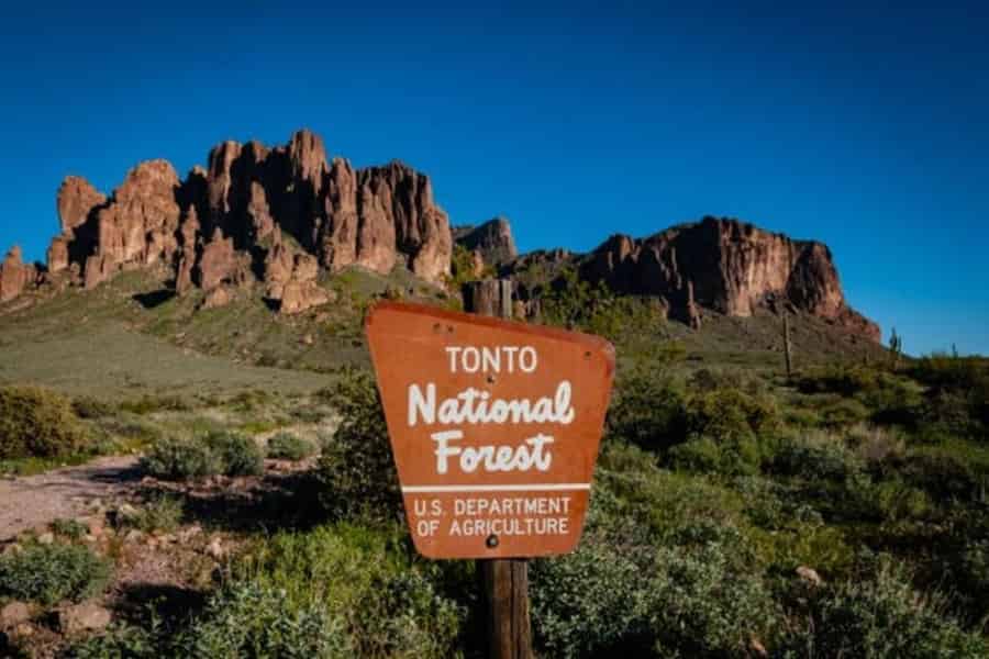 Ab Phoenix: Tour in die Superstition Mountains & den Tonto Forest. Foto: GetYourGuide