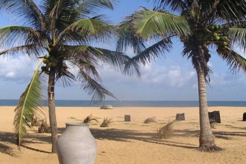 Enjoy a 5-Day Getaway to the Golden Sands of Negombo