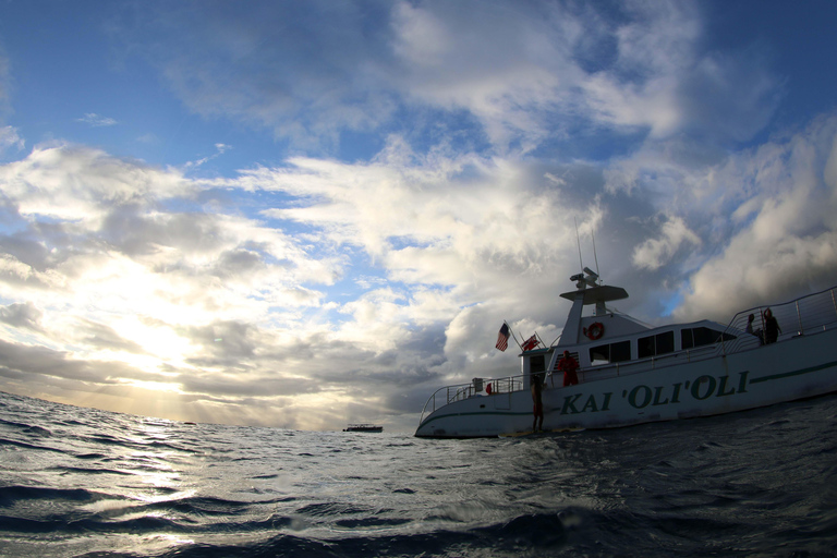 Luxury Sunset Cruise, Snorkeling, Dolphin Watch, & Buffet Oahu: Private Sunset Snorkel & Dolphin Watch with Dinner