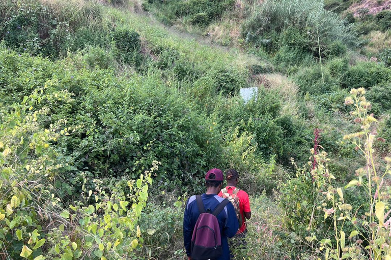 Rui Vaz Scenic Hike and Botanical Garden Stop