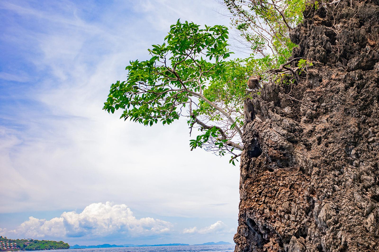 Phi Phi : 4Hrs Bamboo & Phi Phi Tour By Private Longtail Boat (en anglais)11-15 Personne