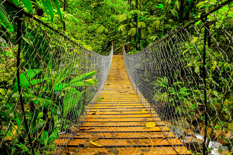 San Pedro Sula: Azul Meámbar National Park Day Trip