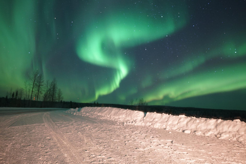 Rovaniemi Northern Lights – The Real Guaranteed Hunt