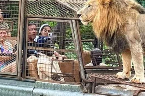 Safari z lwami i przejażdżka po rezerwacie BandiaSafari z lwami i przejażdżka łodzią w Bandii