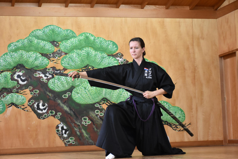Nagoya: Samurai Iaido Experience