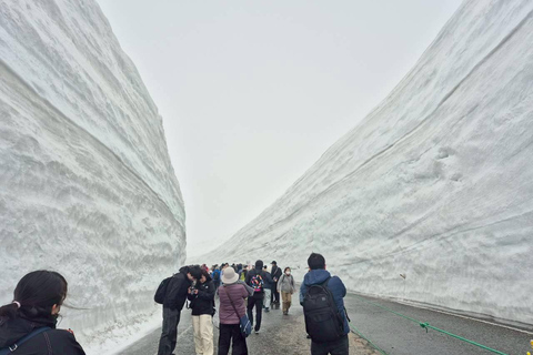 Nagoya: Shirakawa-go, Takayama & Snow Wall 2-Day Tour 1 person 1 room