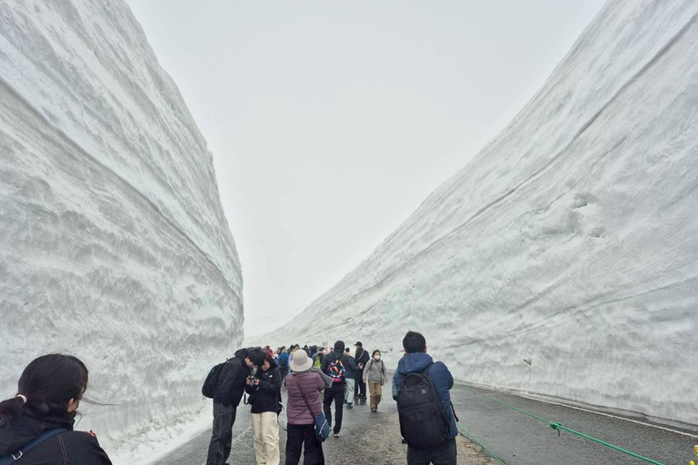 Nagoya: Shirakawa-go, Takayama & Snow Wall 2-Day Tour 1 person 1 room