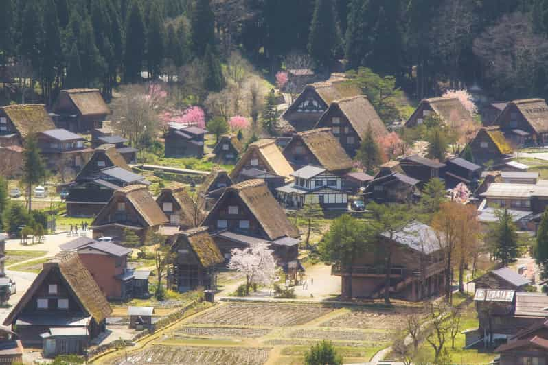 名古屋：飛騨高山と世界遺産白川郷の日帰りツアー | GetYourGuide