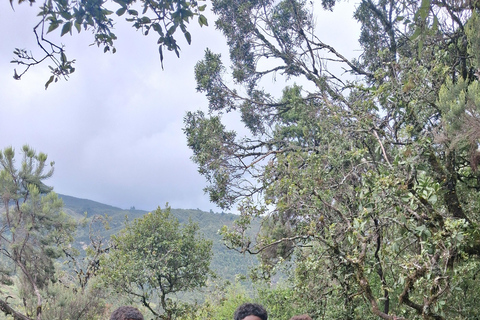 From Addis Ababa: Wonchi Crater Lake with Boat Ride