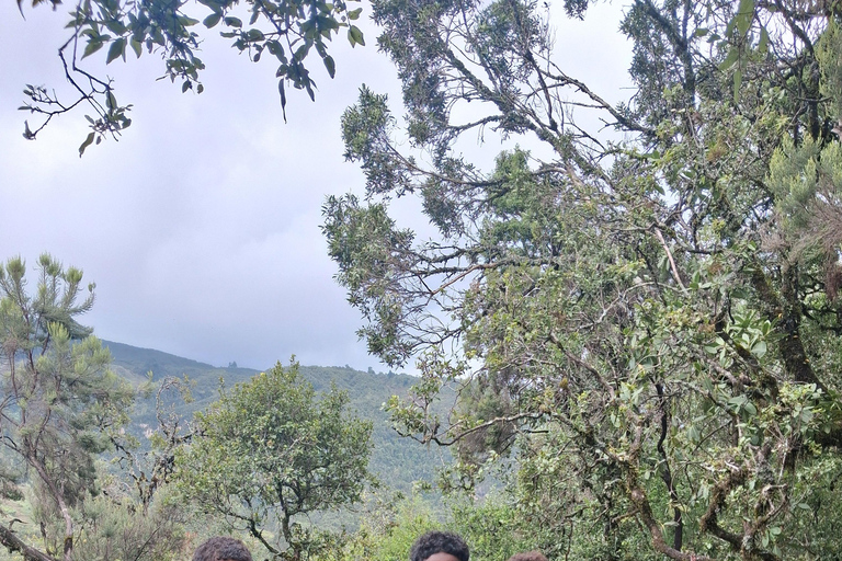 From Addis Ababa: Wonchi Crater Lake with Boat Ride