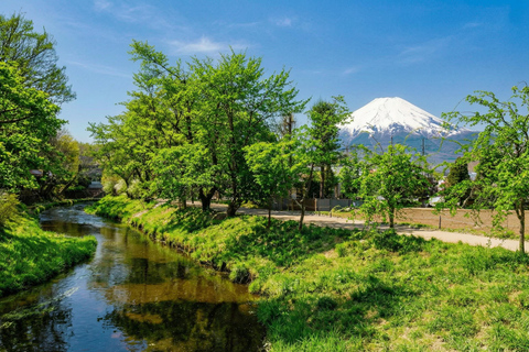 Mt. Fuji & Hakone Tour: Arakurayama, OshinoHakkai, Owakudani Tokyo Station | 7:30 AM Departure with English Guide