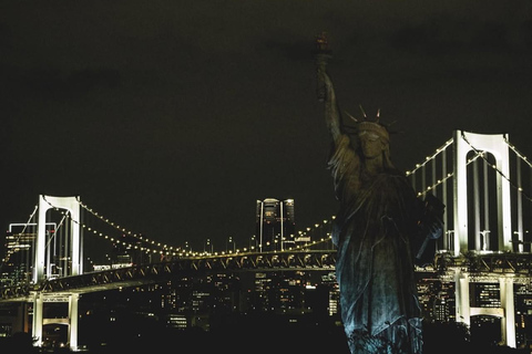 Tokyo Night Private Tour With English Speaking Driver