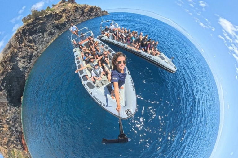 Boat Trip - Ponta de São Lourenço + Snorkeling Snorkeling Experience - Ponta de São Lourenço