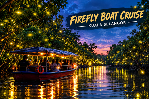 From Kuala Lumpur: Kuala Selangor Firefly Cruise & Dinner