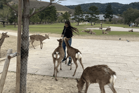 Nara Private Custom Tour with Local Guide test